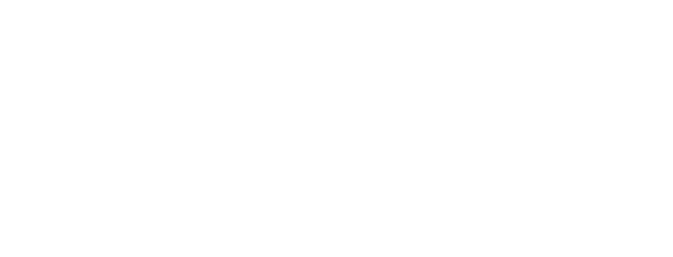 Southfield Village Entertainment